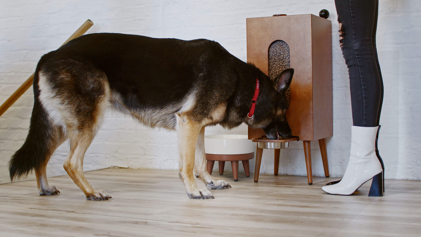 Houndsyy Kibble Dispenser