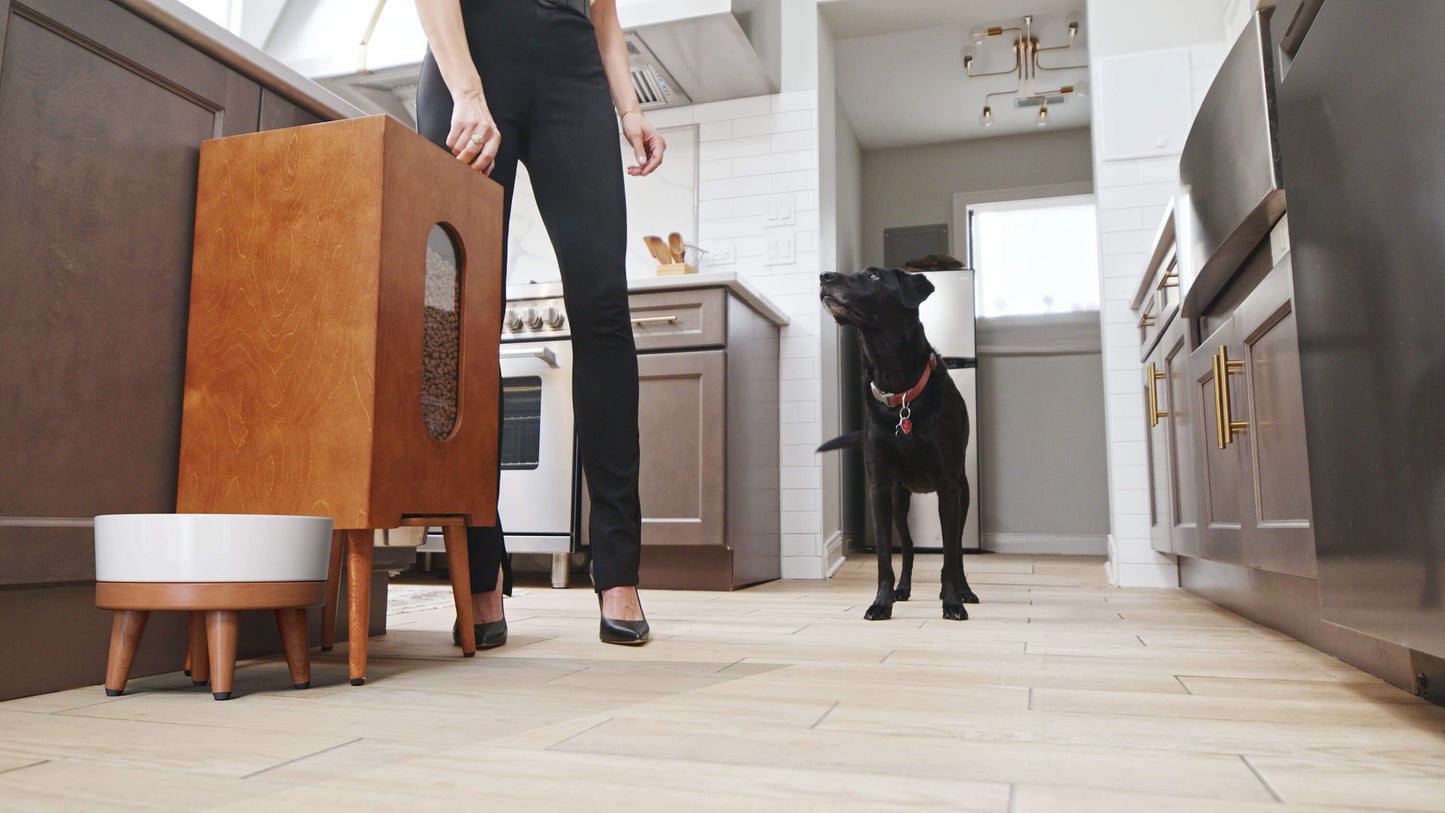 Houndsyy Kibble Dispenser