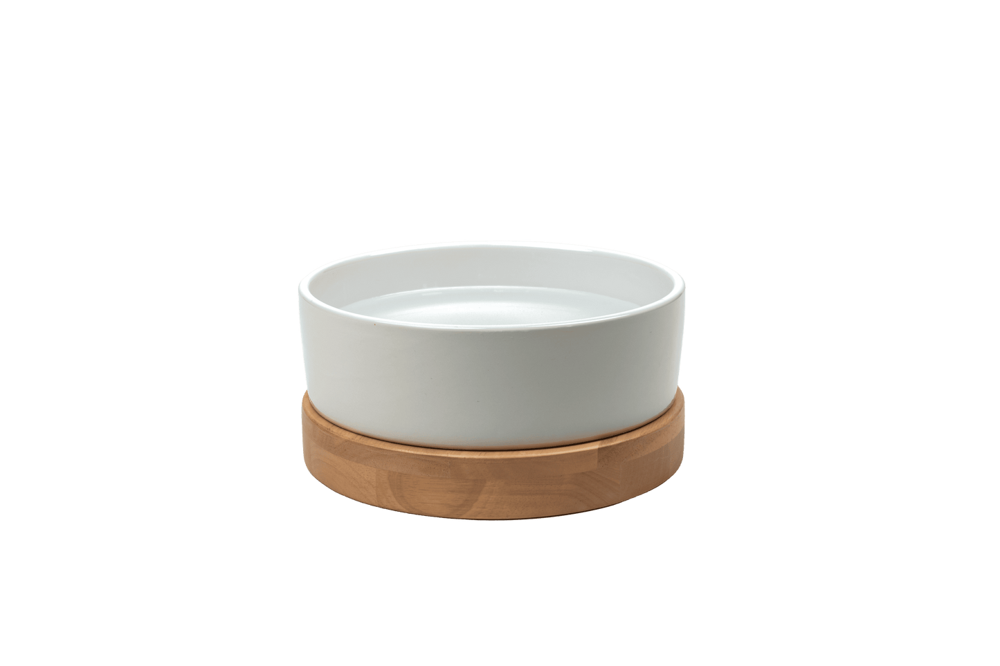 Houndsyy Water Bowl