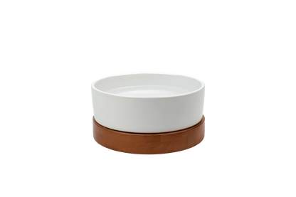 Houndsyy Water Bowl